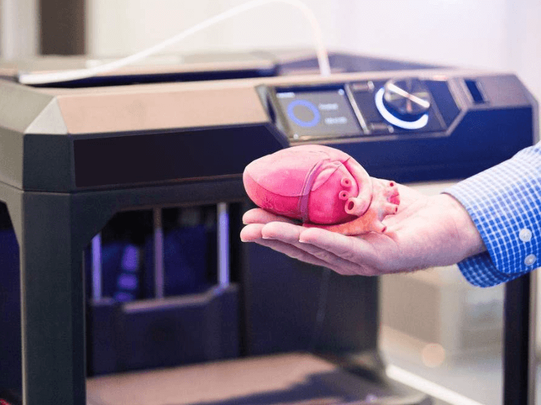 3D printed heart